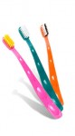 Spare Toothbrushes for Visitors and Slumber Party Guests 2