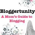 Bloggertunity_0