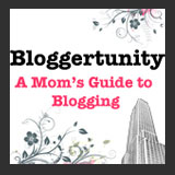mom's-guide-to-blogging