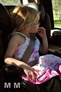 How We Travel :: Sunshine Kids Monterey Black Leather Booster 1