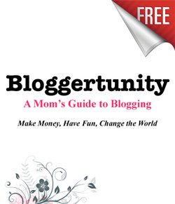 ebook for beginning bloggers [FREE thru September 1st] 2