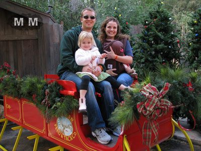 Christmas-at-Disneyland