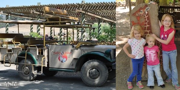Jeep Tours at Safari West