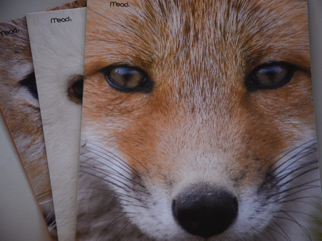 fox folders