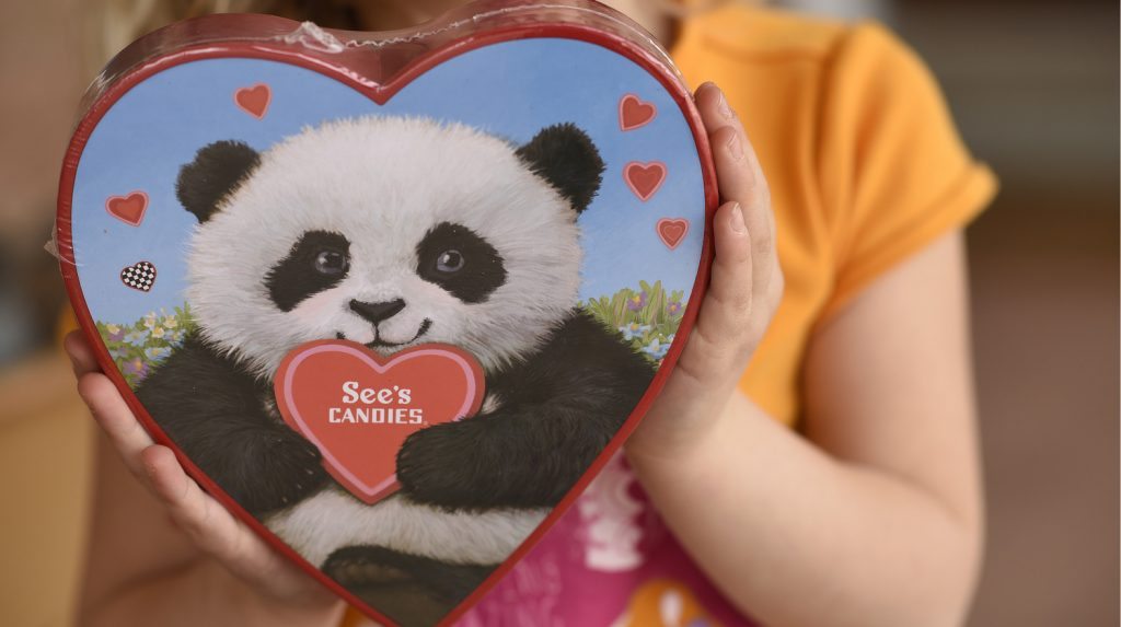 See’s Candies Panda Valentine’s Day