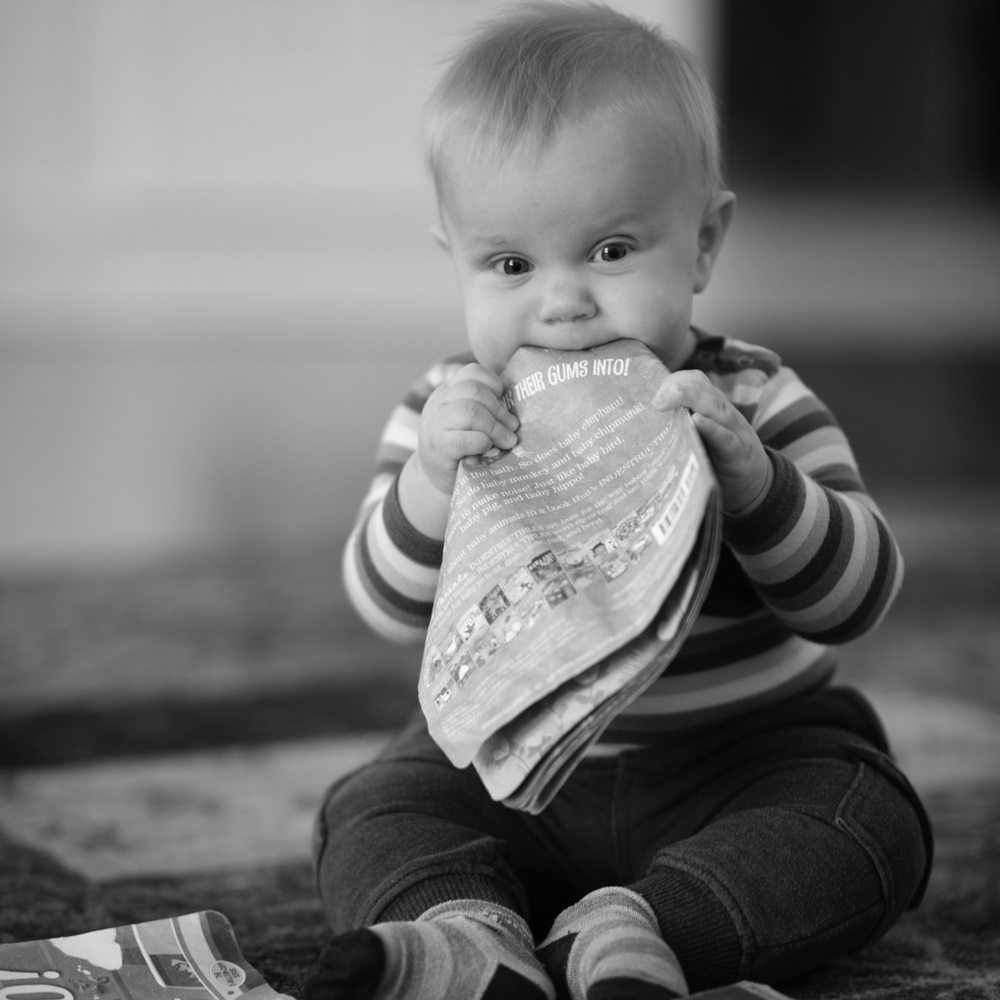 Indestructibles baby books you can chew black and white