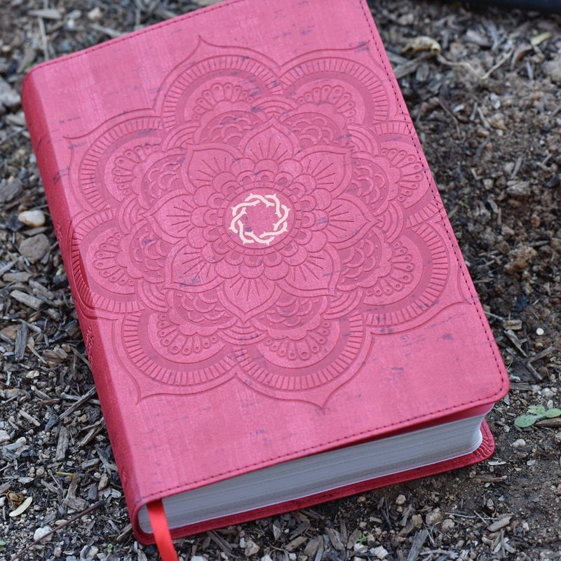 Essential Teen Study Bible red leather