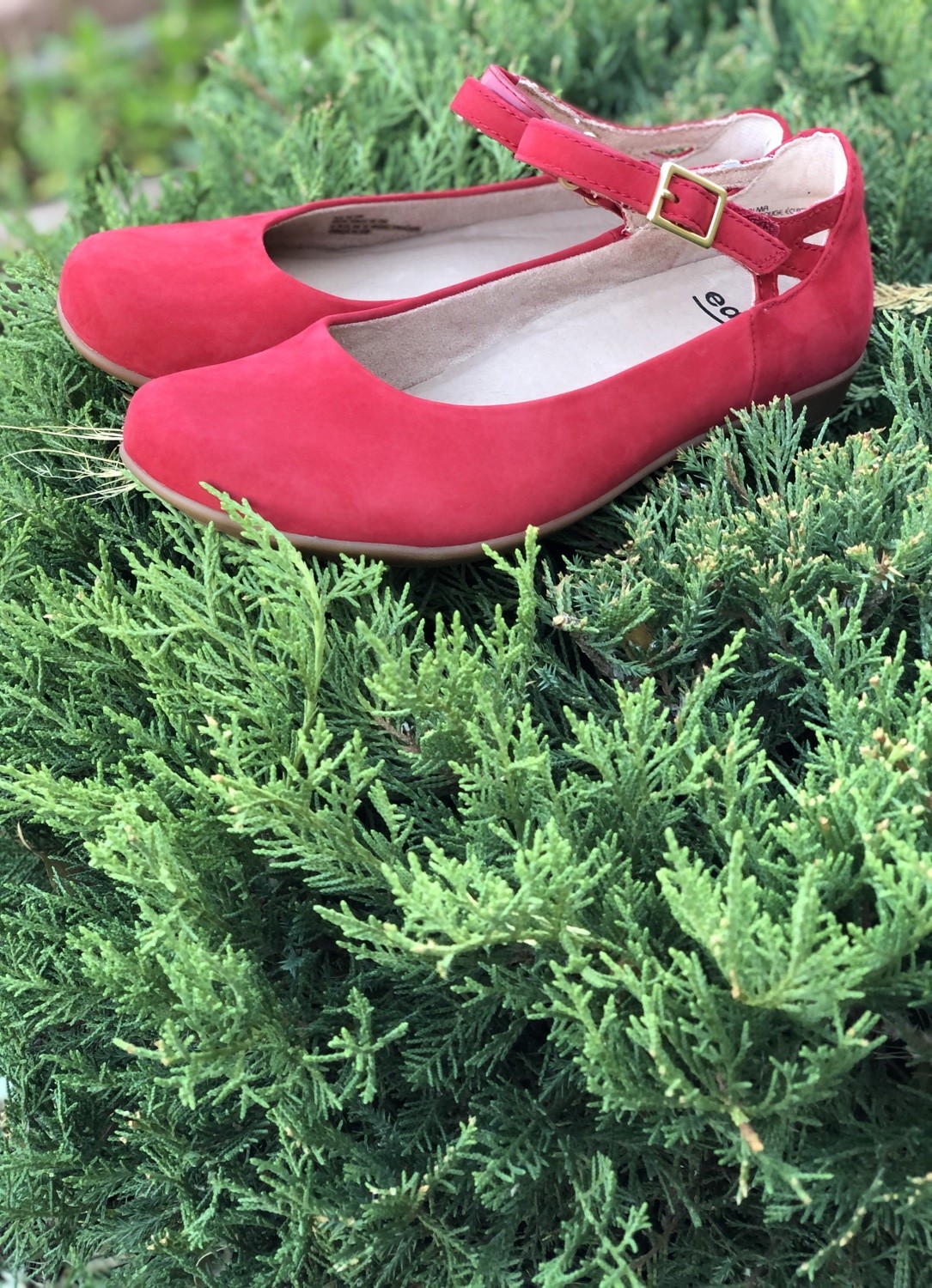 Bright Red Alder Alma Dress Shoes Earth