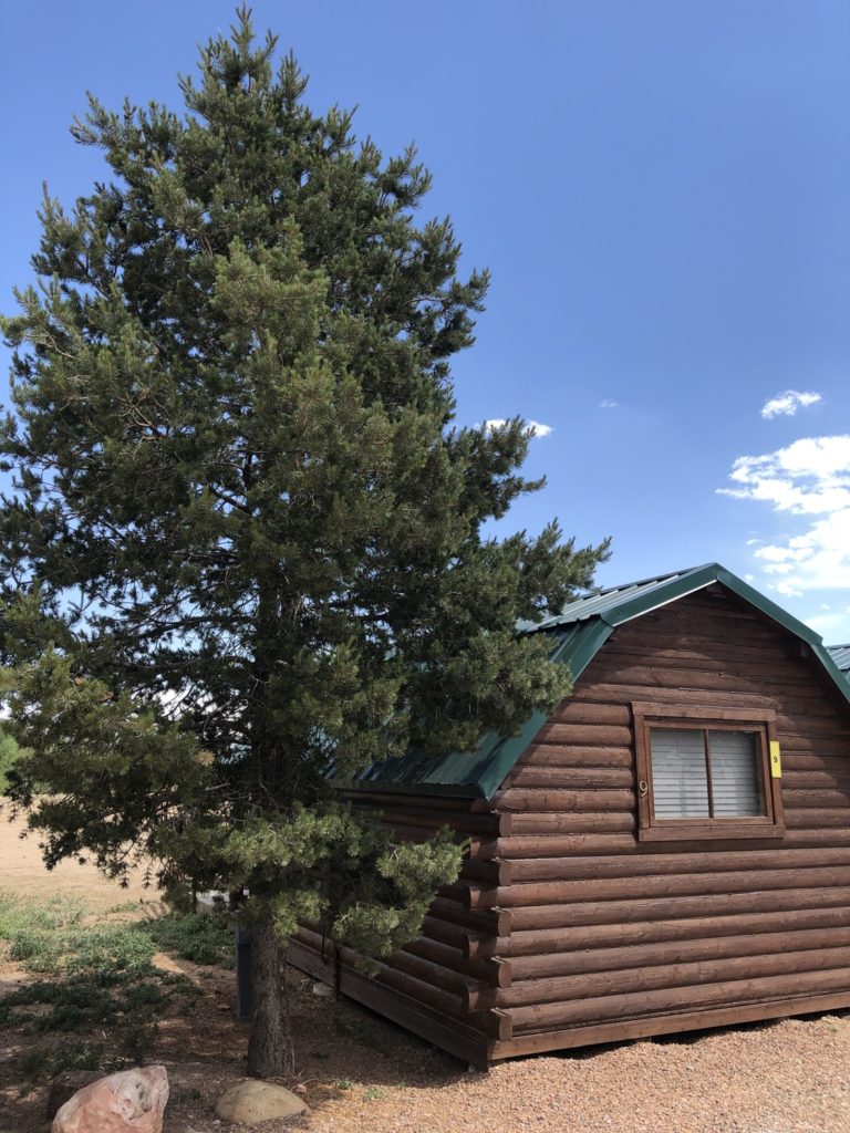 Campground Spotlight: Colorado Springs KOA Holiday 3