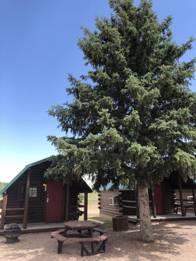 Campground Spotlight: Colorado Springs KOA Holiday 5