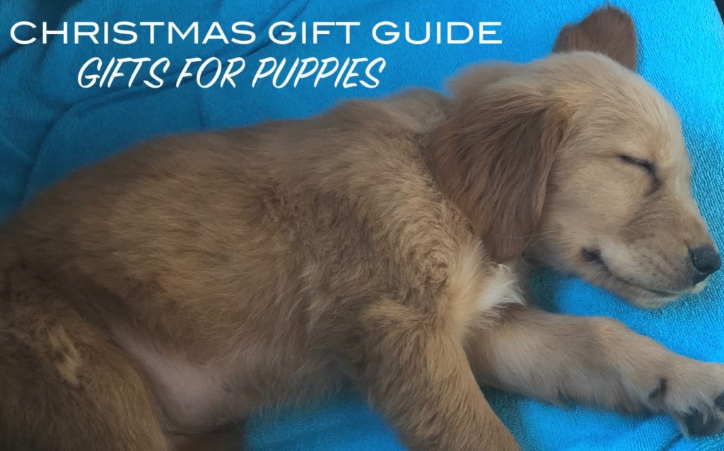 Christmas Gift Guide 2020: Gifts for Puppies 1
