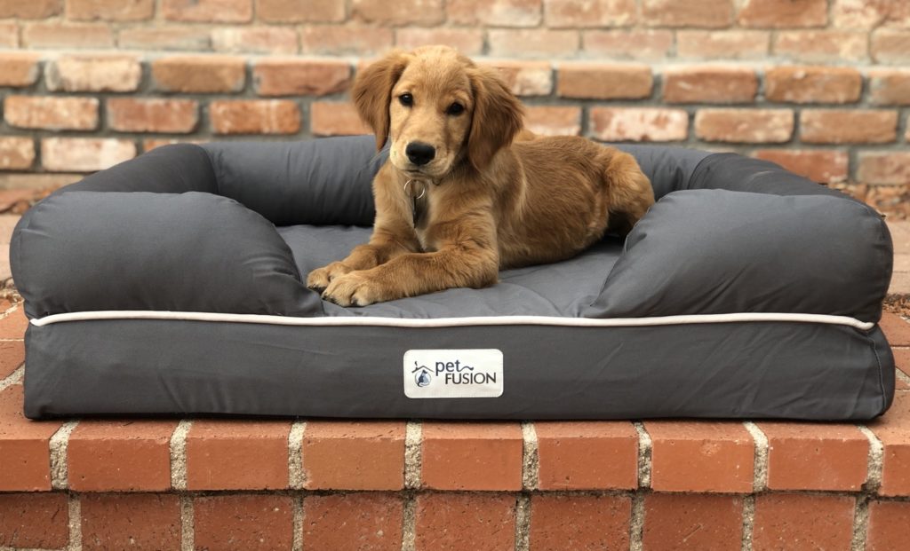 Christmas Gift Guide 2020: Gifts for Puppies 2
