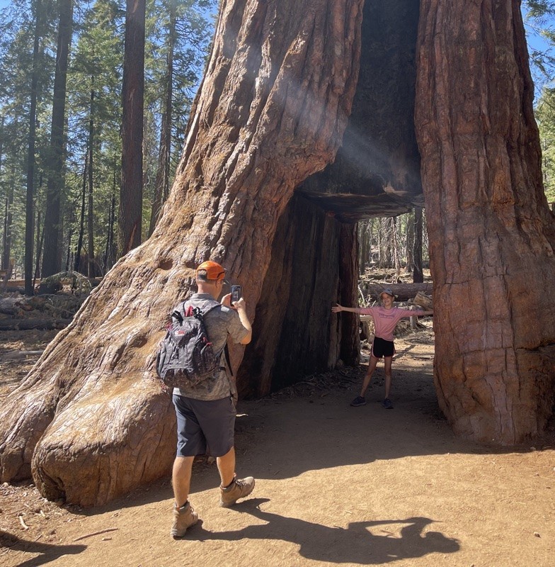Travel With Kids: Yosemite National Park, South Entrance 49