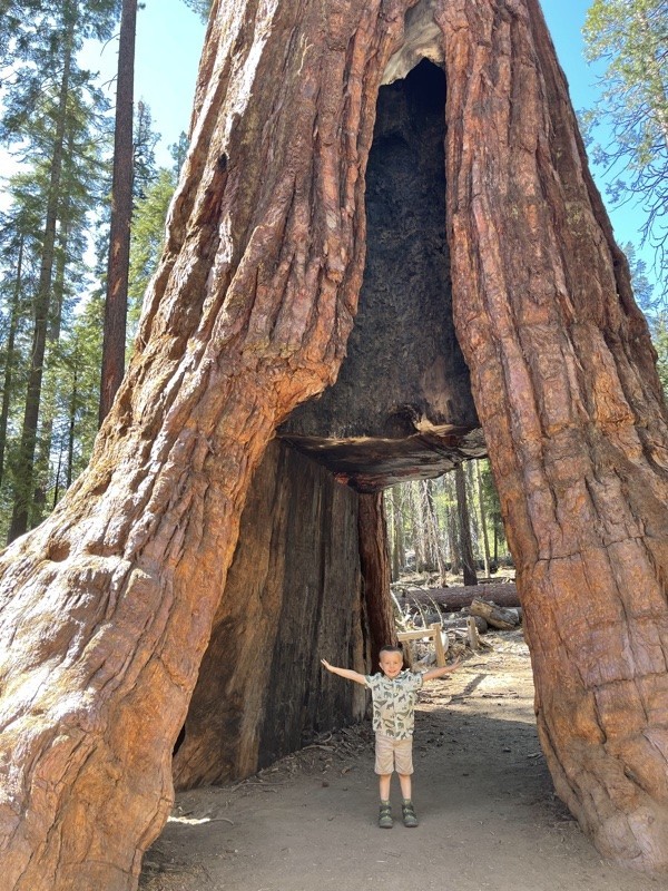 Travel With Kids: Yosemite National Park, South Entrance 50