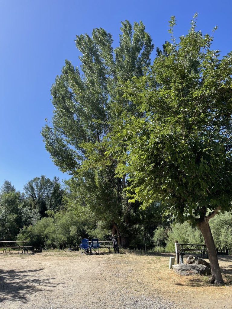 Campground Spotlight: High Sierra RV & Mobile Park 6