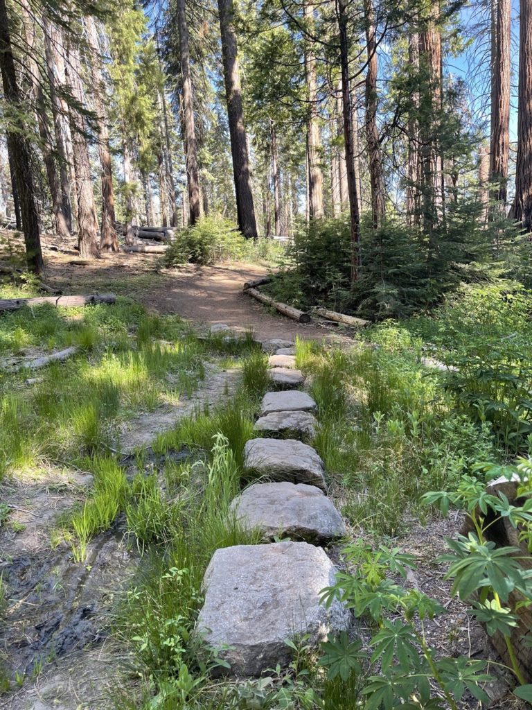 Travel With Kids: Yosemite National Park, South Entrance 51