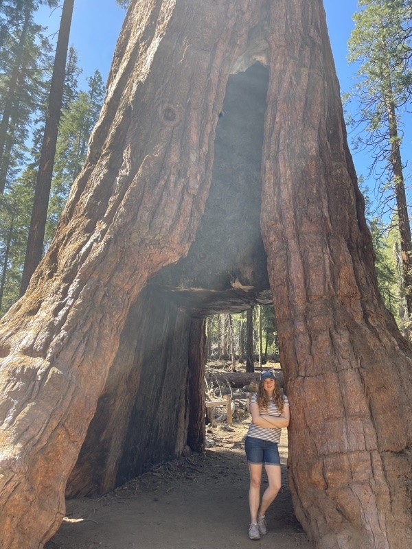 Travel With Kids: Yosemite National Park, South Entrance 52