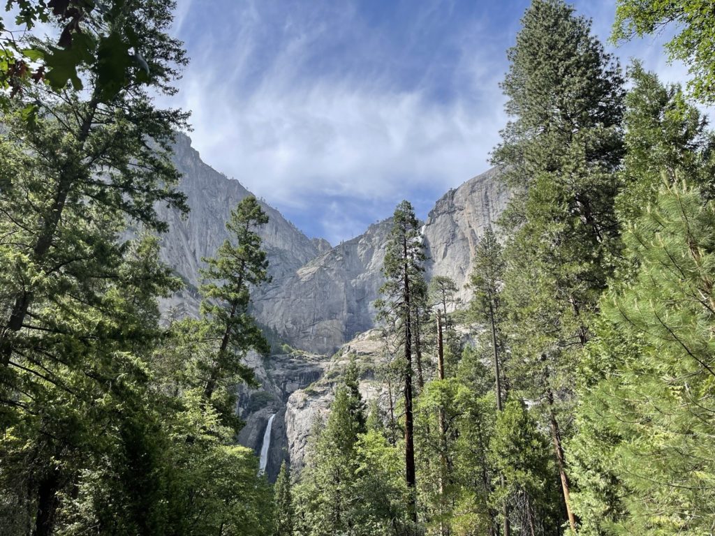 Travel With Kids: Yosemite National Park, South Entrance 40