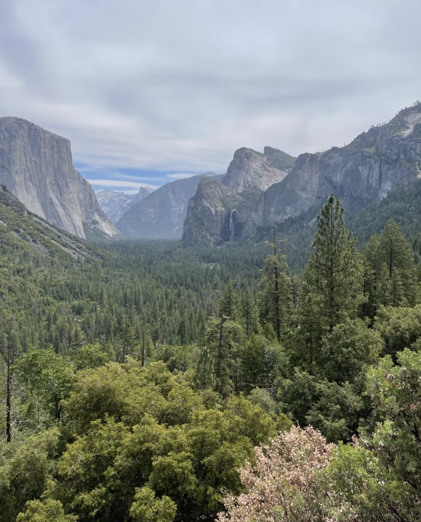 Travel With Kids: Yosemite National Park, South Entrance 44