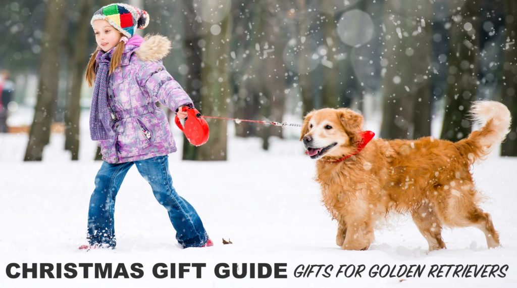 Christmas Gift Guide 2021: Gifts for Golden Retrievers 1