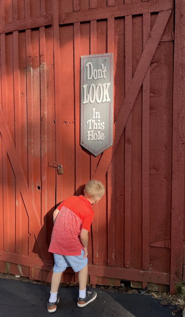 Travel With Kids: Silver Dollar City 10